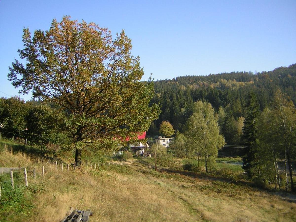 Pokoje Goscinne Angelika Wisla Exterior photo
